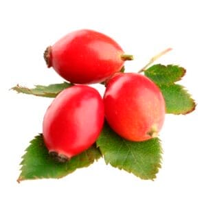 Csipkebogyó pálinka címke