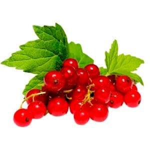 Ribizli pálinka címke